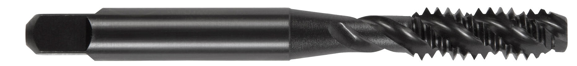 216N116C