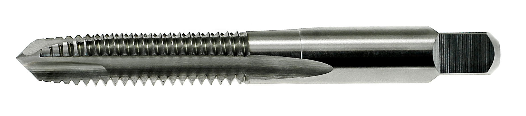 21A008CP